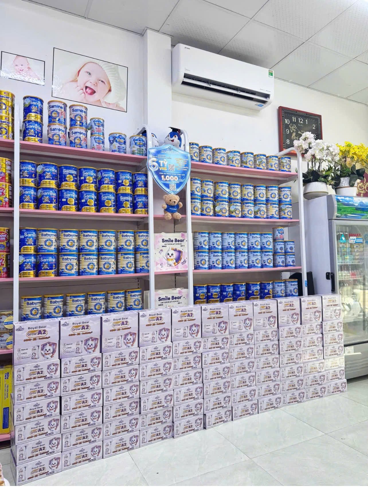 Hành trình giao Royal Bear Grow+ A2 tới đối tác T&T Group sau lễ ra mắt — ảnh 6/8