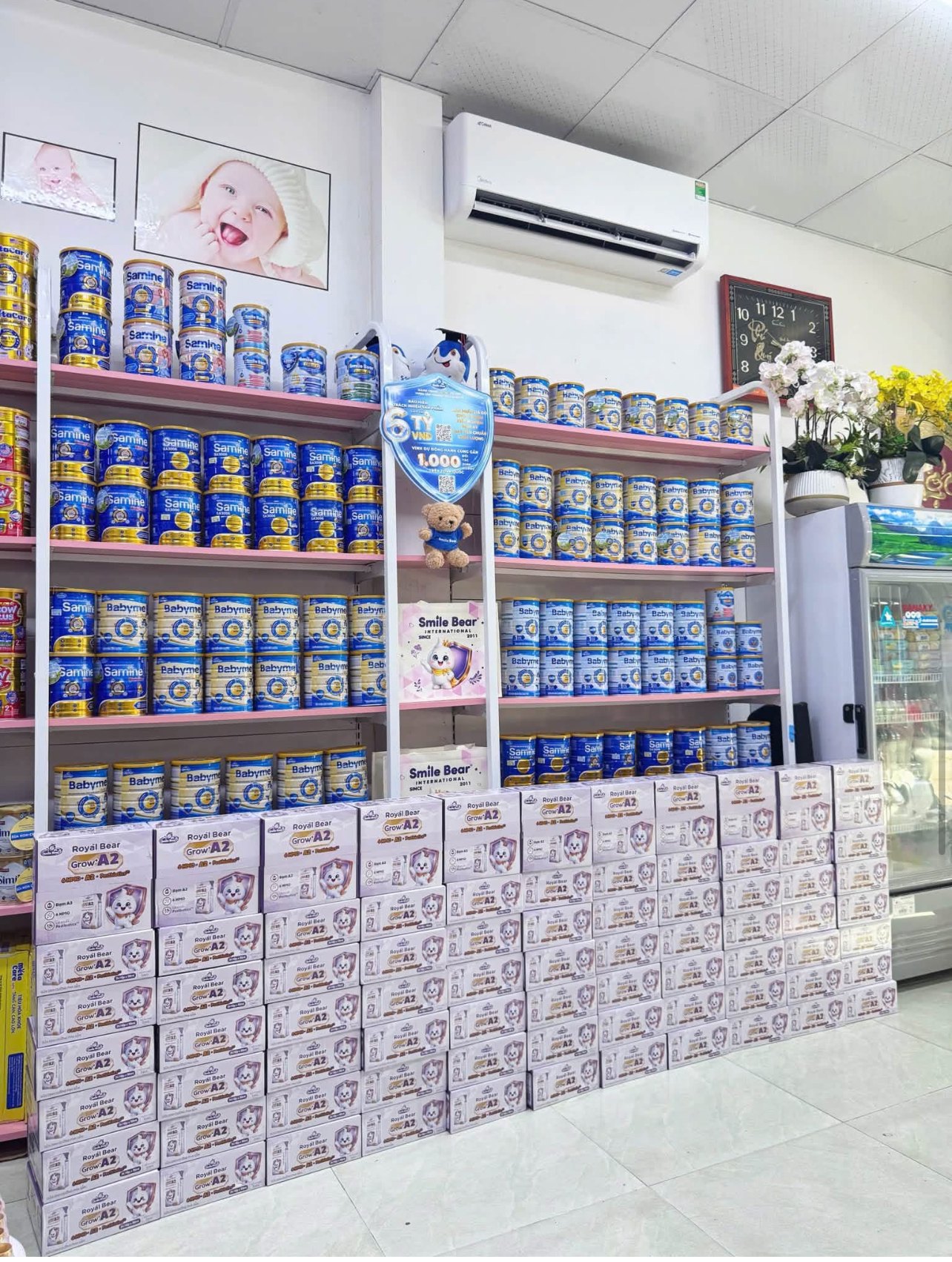 Hành trình giao Royal Bear Grow+ A2 tới đối tác T&T Group sau lễ ra mắt